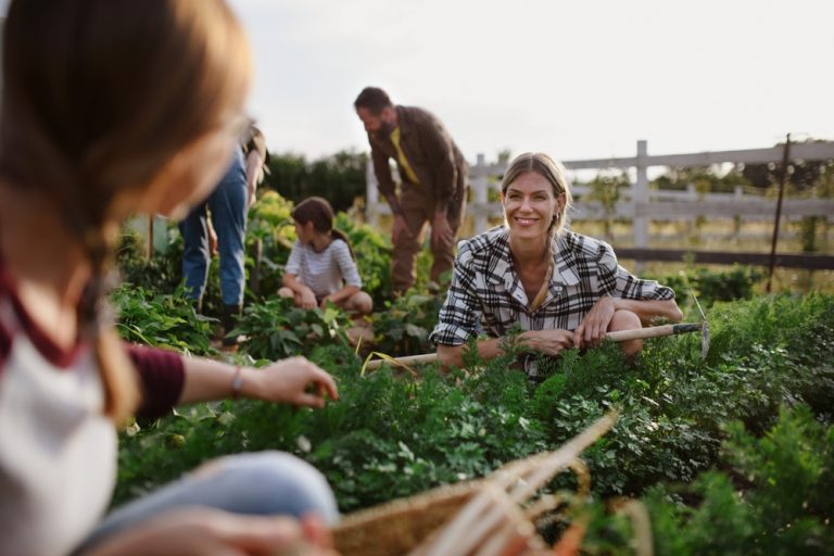 The Community Garden Loophole: How to Get a Plot for Less Than a Pizza