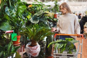 The Mid-Season Clearance Hack: How to Score 'Dead' Plants for 90% Off