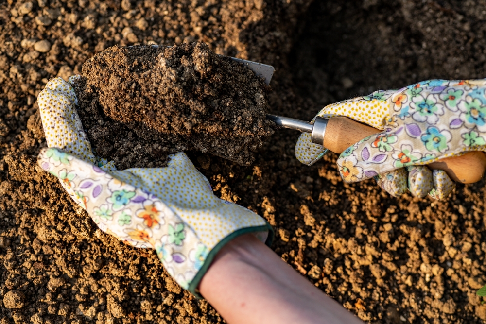 The Facebook Marketplace Trick for Free High-Quality Topsoil