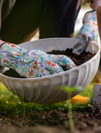 Why Some Plants Reject Fertilizer and How to Adjust