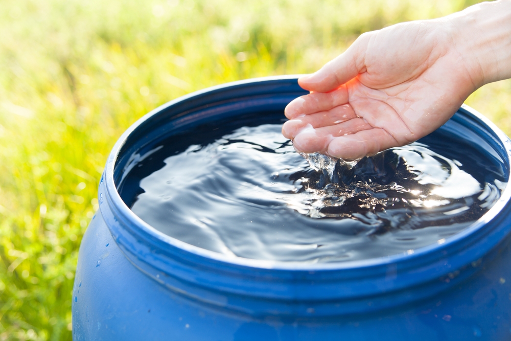 The Rain Barrel Revolution: Stop Paying for Garden Water This Summer