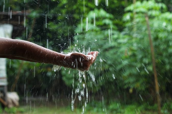 The Rainwater Hack: How to Cut Your Water Bill While Growing More Food