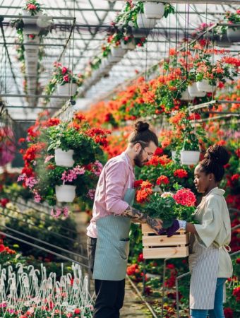 The End-of-Aisle Secret: Finding the Discount Rack at Home Depot and Lowe’s