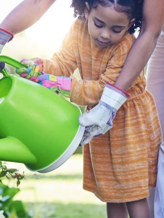 8 Backyard Gardening Mistakes That Quietly Waste Your Money