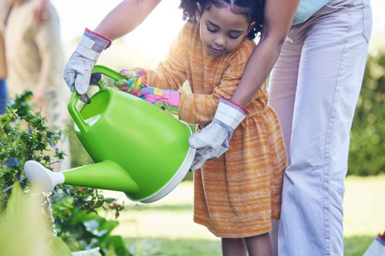 8 Backyard Gardening Mistakes That Quietly Waste Your Money