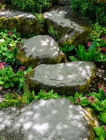 Beat the Summer Heat: The Budget Way to Shade Your Plants for Free