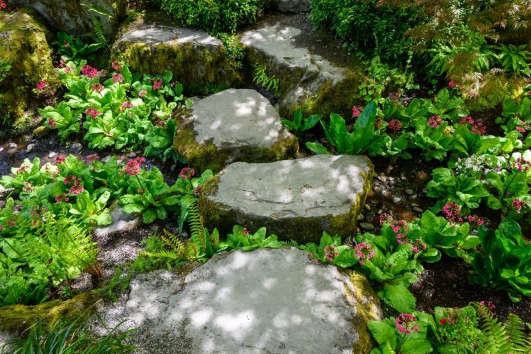 Beat the Summer Heat: The Budget Way to Shade Your Plants for Free