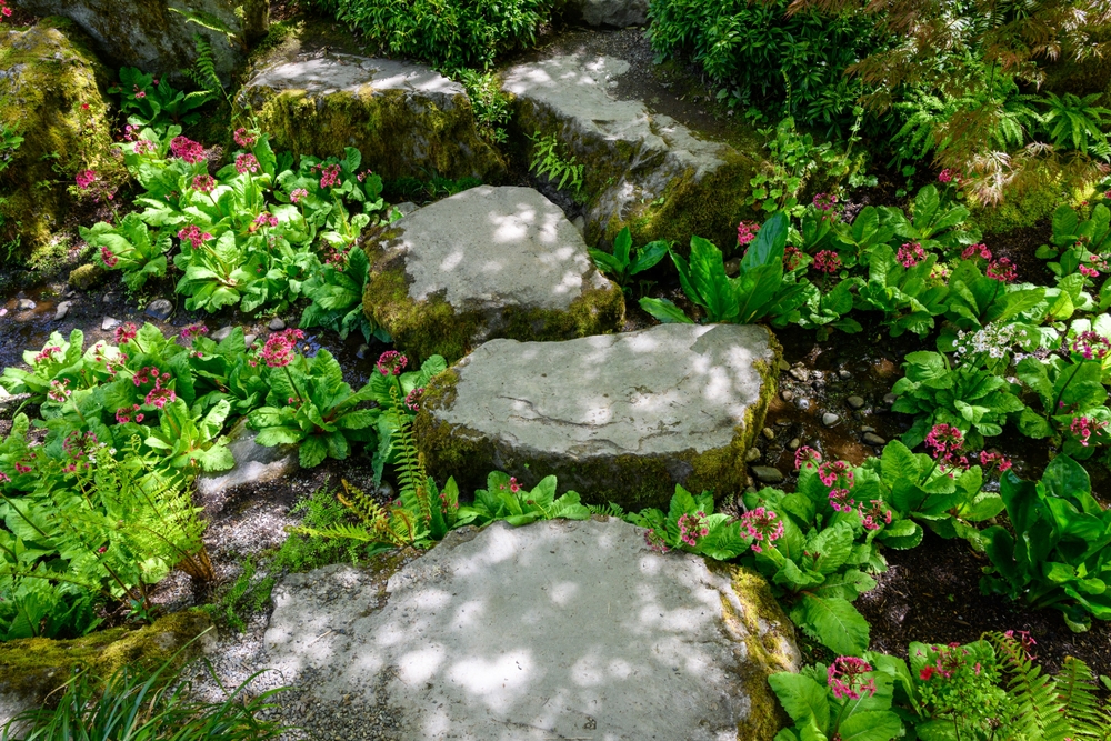 Beat the Summer Heat: The Budget Way to Shade Your Plants for Free