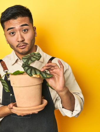 Why “Ugly” Plants are Actually a Budget Gardener’s Best Friend