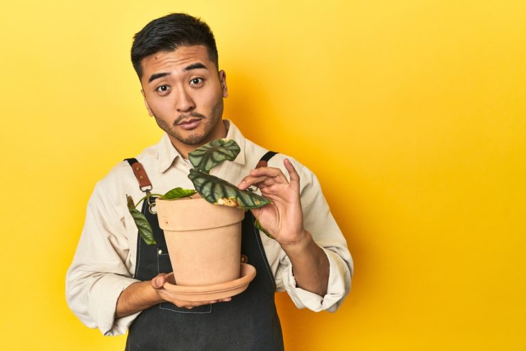 Why “Ugly” Plants are Actually a Budget Gardener’s Best Friend