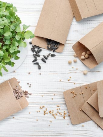 Buying “Last Year’s” Seeds: Does It Actually Matter for Your Harvest?