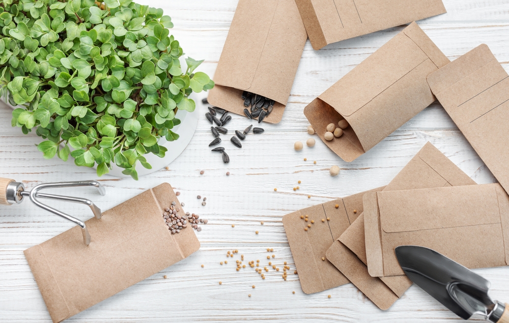 Buying “Last Year’s” Seeds: Does It Actually Matter for Your Harvest?