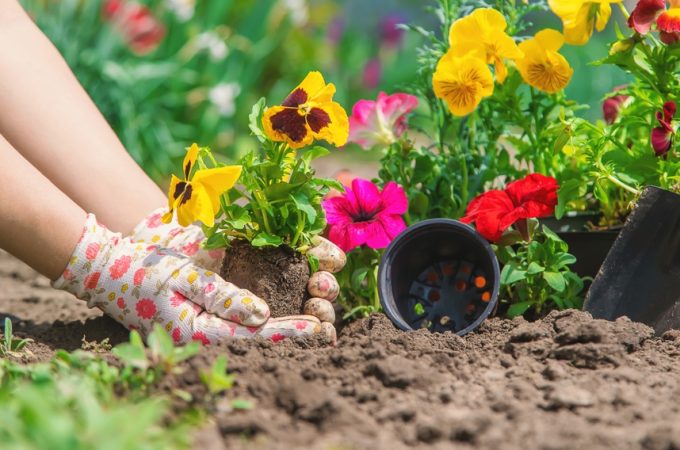 Spring Forward, Spend Less: The Best Early-Season Budget Hacks