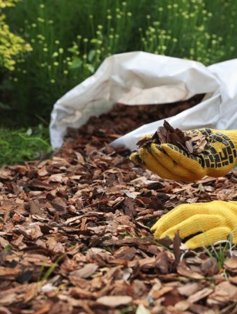 The 'Lazy' Garden Method: Save Money by Doing Less Work