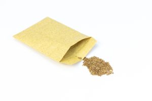 The Spring Seed Swap: How to Get 50 Varieties for the Price of One