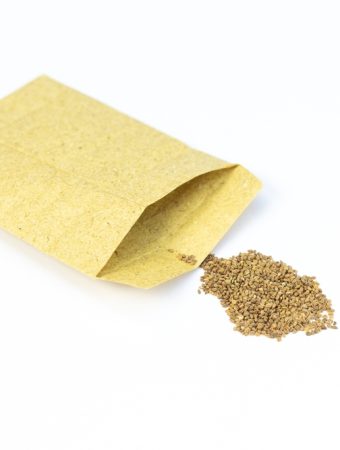 The Spring Seed Swap: How to Get 50 Varieties for the Price of One