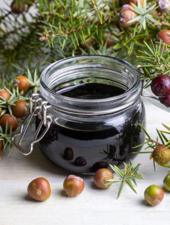 The Molasses Mystery: Why Sugar Makes Your Microbes (And Plants) Go Wild