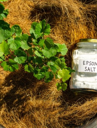 The EPSOM Salt Myth: The Cheap Drugstore Staple That Actually Works