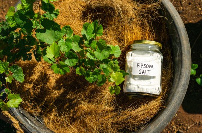 The EPSOM Salt Myth: The Cheap Drugstore Staple That Actually Works