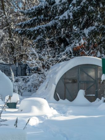 The Winter Sowing Method: Why You Should Start Your Garden in the Snow