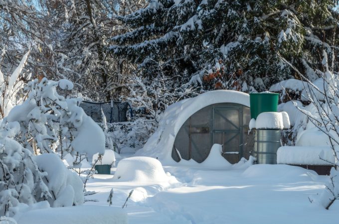 The Winter Sowing Method: Why You Should Start Your Garden in the Snow