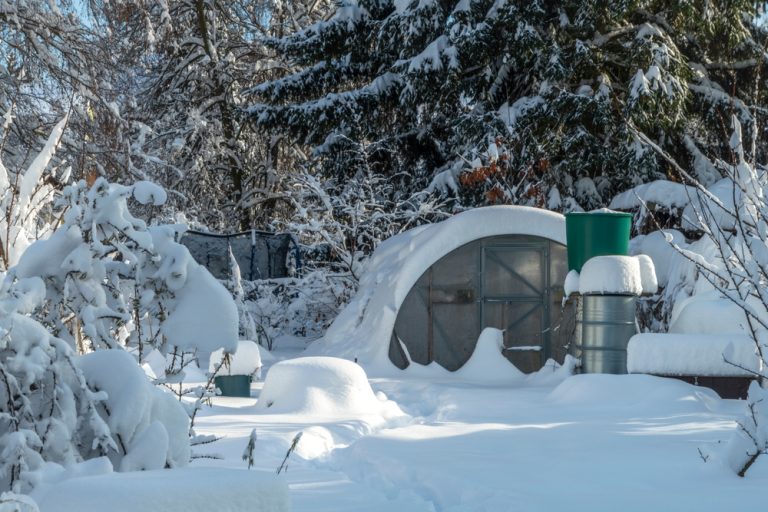 The Winter Sowing Method: Why You Should Start Your Garden in the Snow