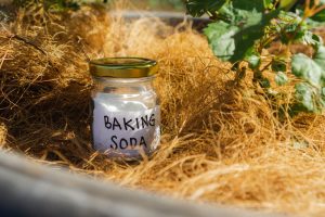 The Baking Soda Secret for Sweeter Tomatoes Every Time