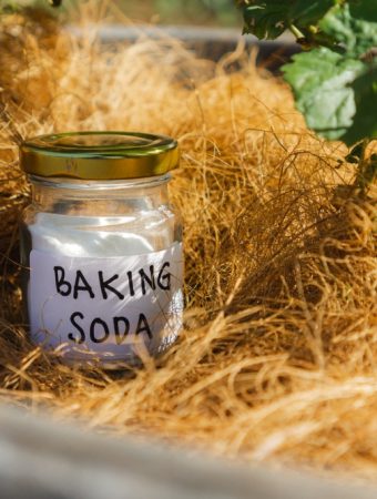 The Baking Soda Secret for Sweeter Tomatoes Every Time