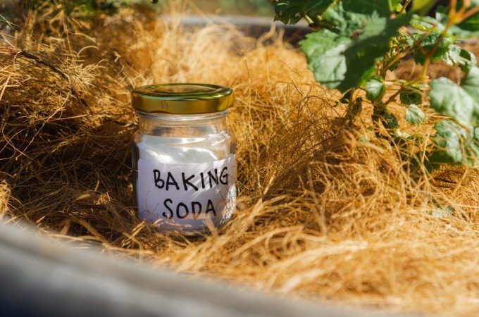 The Baking Soda Secret for Sweeter Tomatoes Every Time