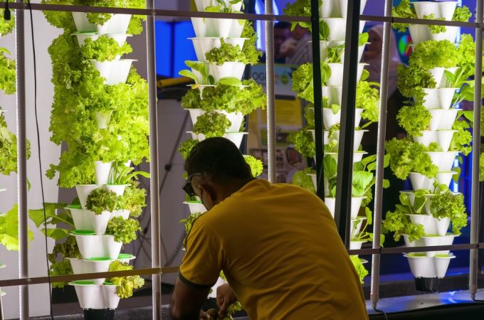 Vertical PVC Gardening: Building a Space-Saving Food Tower for $15