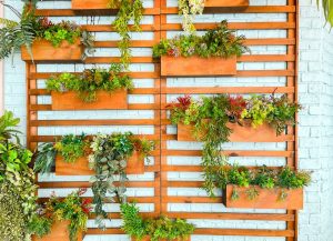 Vertical Veggies: Growing a Massive Harvest in Less Than 2 Square Feet