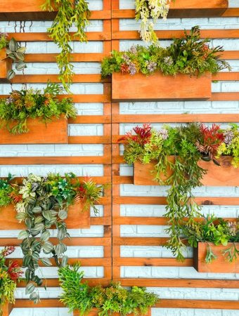 Vertical Veggies: Growing a Massive Harvest in Less Than 2 Square Feet