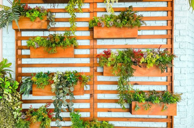 Vertical Veggies: Growing a Massive Harvest in Less Than 2 Square Feet