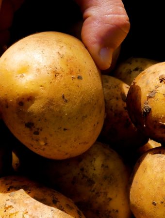 The 'Survival' Garden: 7 Essential Crops Every Budget Gardener Needs Now