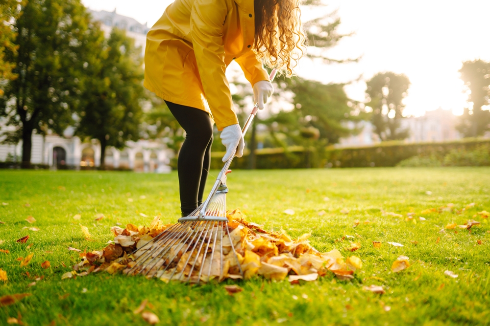 Why You Should Stop Raking Your Leaves (And Save $100 on Fertilizer)