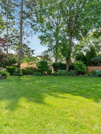 Don't Plant These 5 Things If You're on a Tight Budget