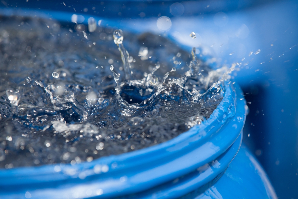 The Rainwater Hack: How to Cut Your Water Bill While Growing More Food