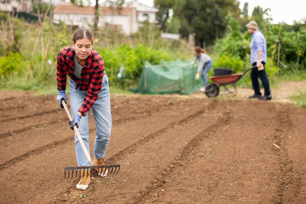 Spring Thaw Warning: Why Your Garden Needs These 3 Free Fixes Now