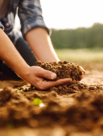 How to Get 50 Gallons of Fertilizer for the Price of a Packet of Seeds