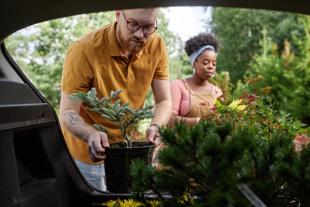 The Fall Preview: Why Smart Budgeters Start Buying for Next Year Today