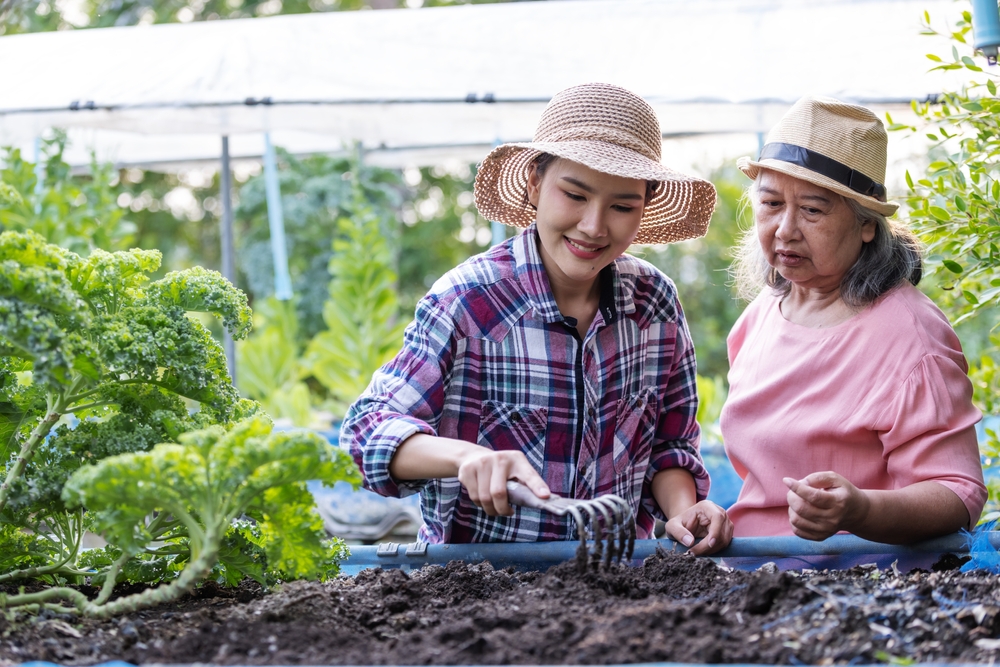 Spring Cleaning Your Soil: The $0 Way to Wake Up Your Garden