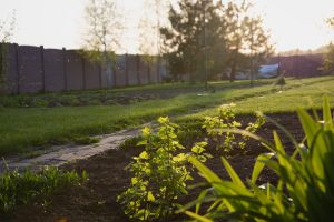 The Solar-Powered Trick: Using Free Heat to Triple Your Growing Season
