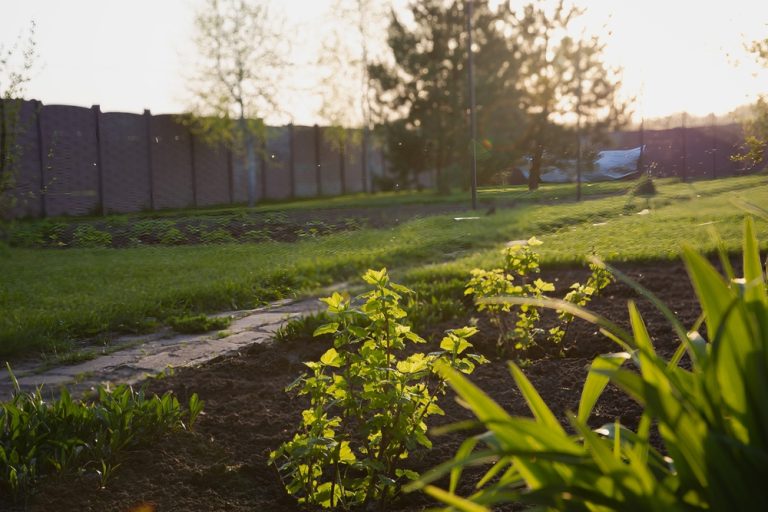 The Solar-Powered Trick: Using Free Heat to Triple Your Growing Season