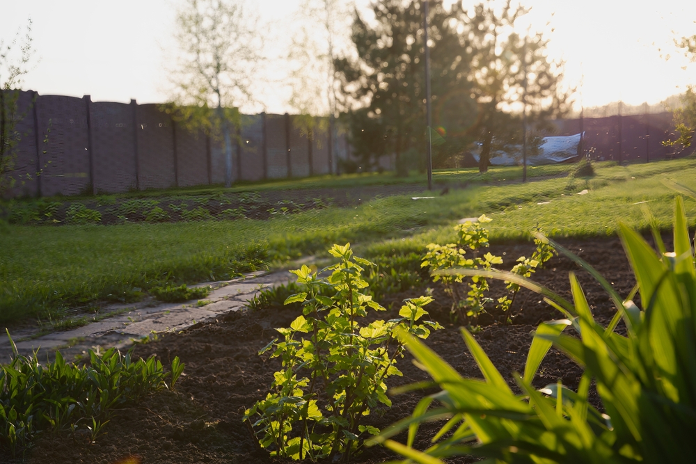 The Solar-Powered Trick: Using Free Heat to Triple Your Growing Season