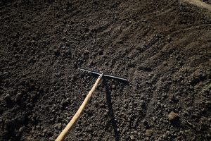 Spring Thaw Warning: Why Your Garden Needs These 3 Free Fixes Now