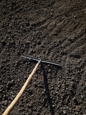 Spring Thaw Warning: Why Your Garden Needs These 3 Free Fixes Now