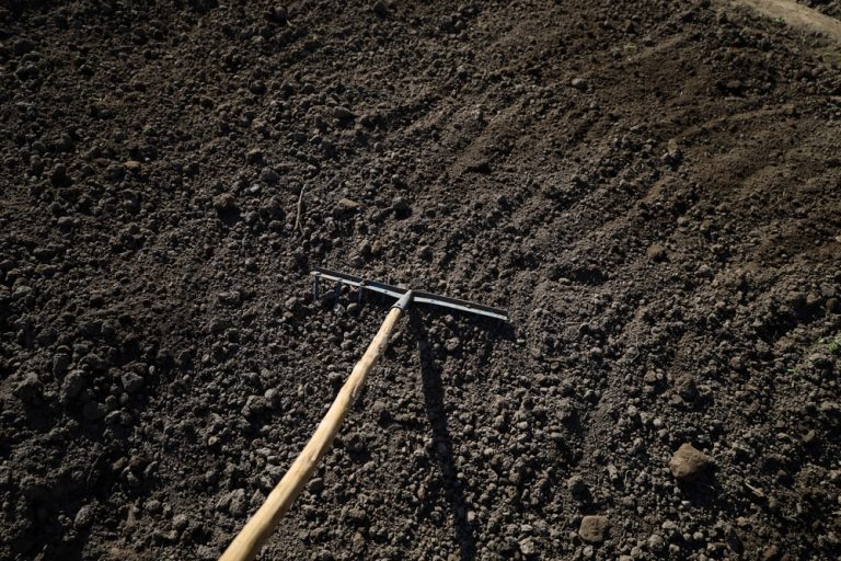 Spring Thaw Warning: Why Your Garden Needs These 3 Free Fixes Now