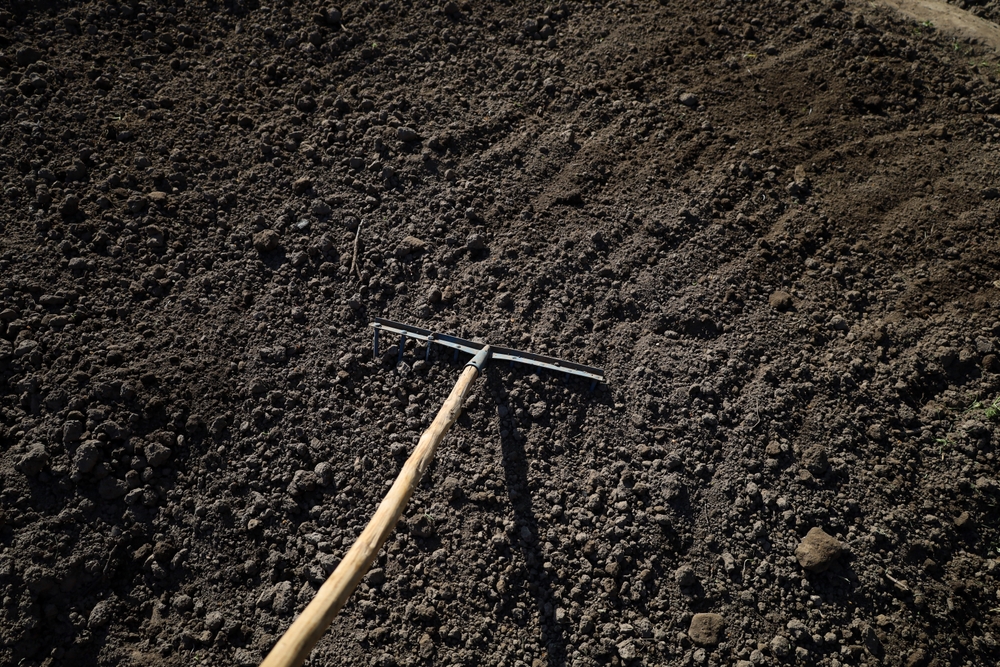 Spring Thaw Warning: Why Your Garden Needs These 3 Free Fixes Now