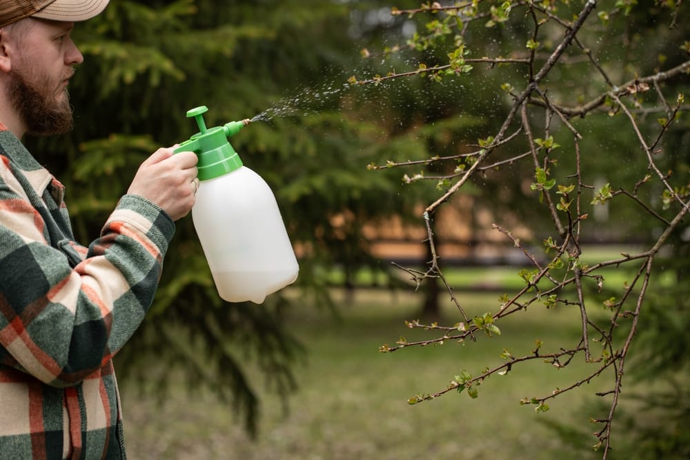 How to Get 50 Gallons of Fertilizer for the Price of a Packet of Seeds