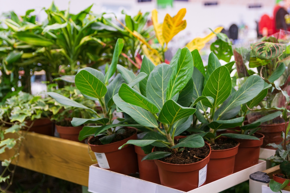 The End-of-Aisle Secret: Finding the Discount Rack at Home Depot and Lowe’s